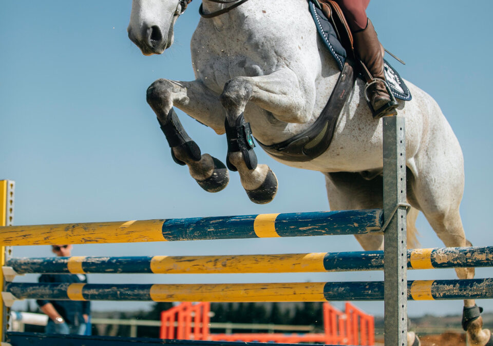 Horse Training Gets A New Face Lift From A 108 Year Old Horse Training Manual!