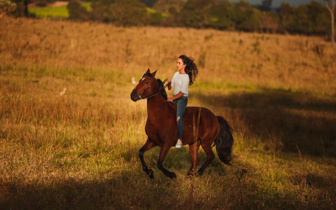 Horse Training 101